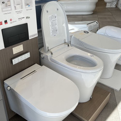 Are Smart Toilets the Future of Sanitation?