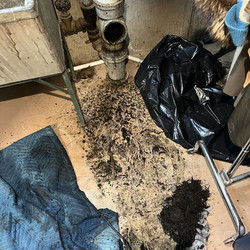 Combatting Overgrown Roots: Expert Hydro Jetting