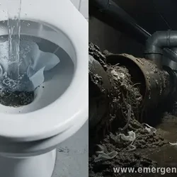 Are Flushable Wipes Really Safe to Flush?