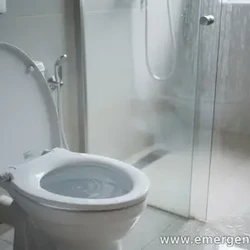 Why a Toilet Gurgles When the Shower Is Running