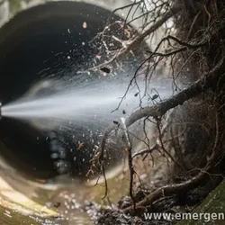 Does Hydro Jetting Help With Ingrown Tree Roots?