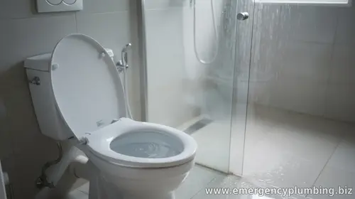 Why a Toilet Gurgles When the Shower Is Running